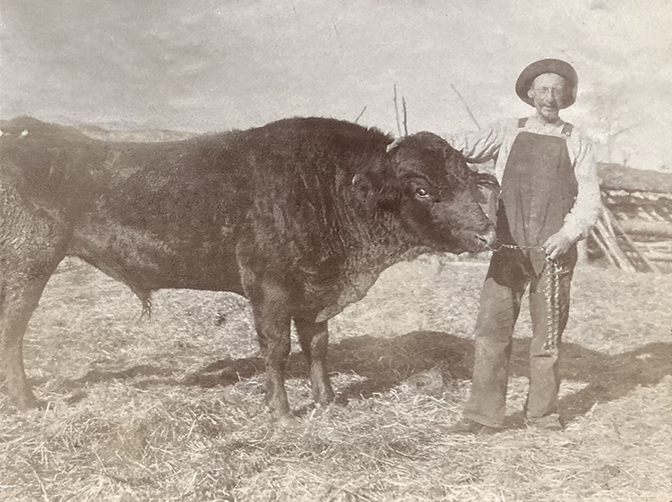Photo en noir et blanc d’André Castelein, en habits de travail, et d’une grosse vache brune ou noire.