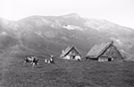 Photo en noir et blanc de petits bâtiments au toit de chaume devant de grosses montagnes. À côté, il y a deux vaches dans un pâturage.