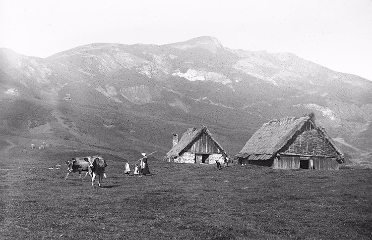 Photo en noir et blanc de petits bâtiments au toit de chaume devant de grosses montagnes. À côté, il y a deux vaches dans un pâturage.